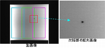 黒点欠陥部画像